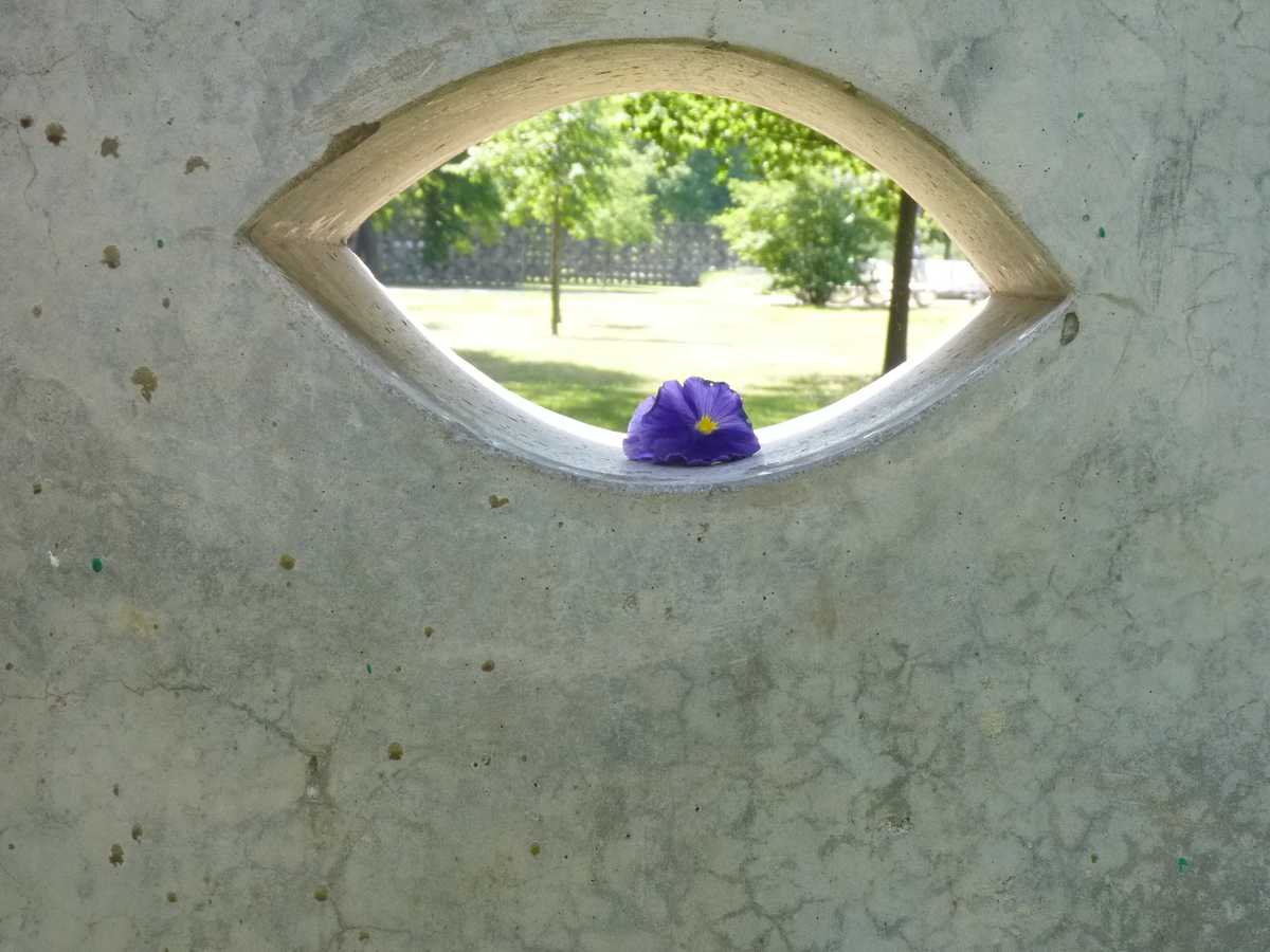 „Das blühende Auge“ unbearbeitet