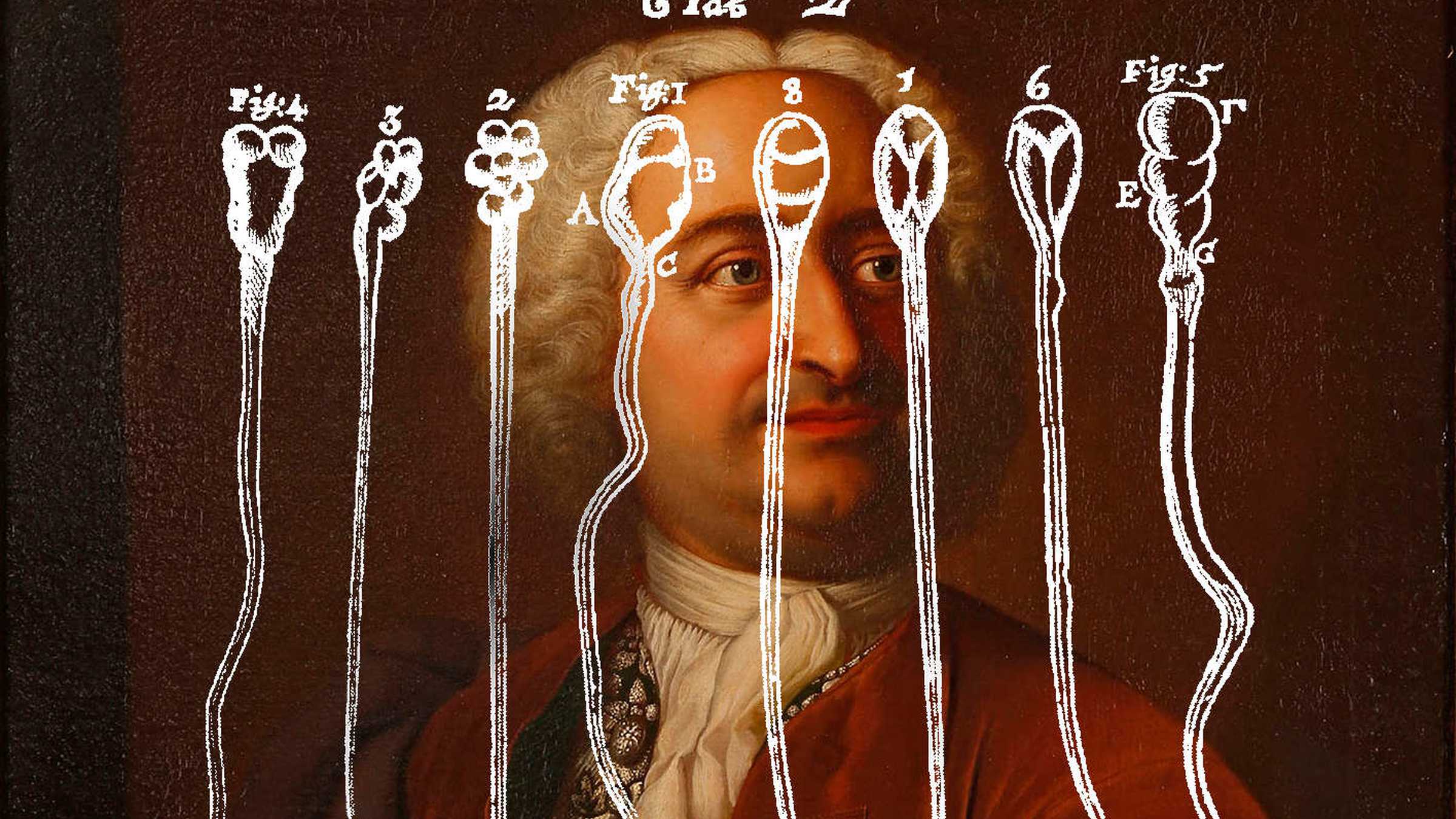 Christian-Wolff-Portrait und historische Abbildung mit Darstellung von SpermienDarstellung 