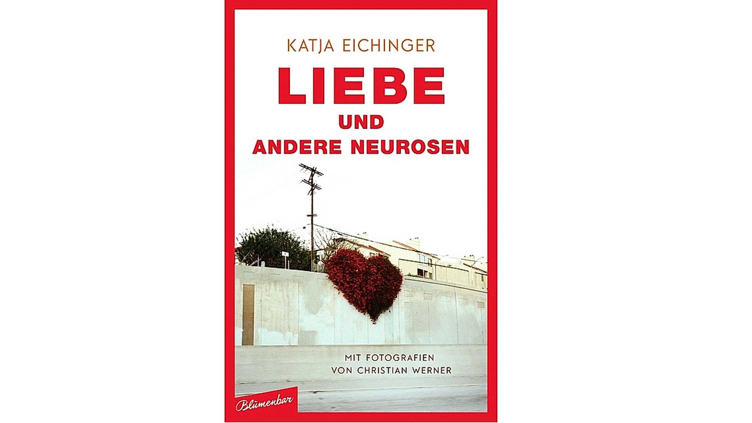 Liebe und andere Neurosen Buchtitel