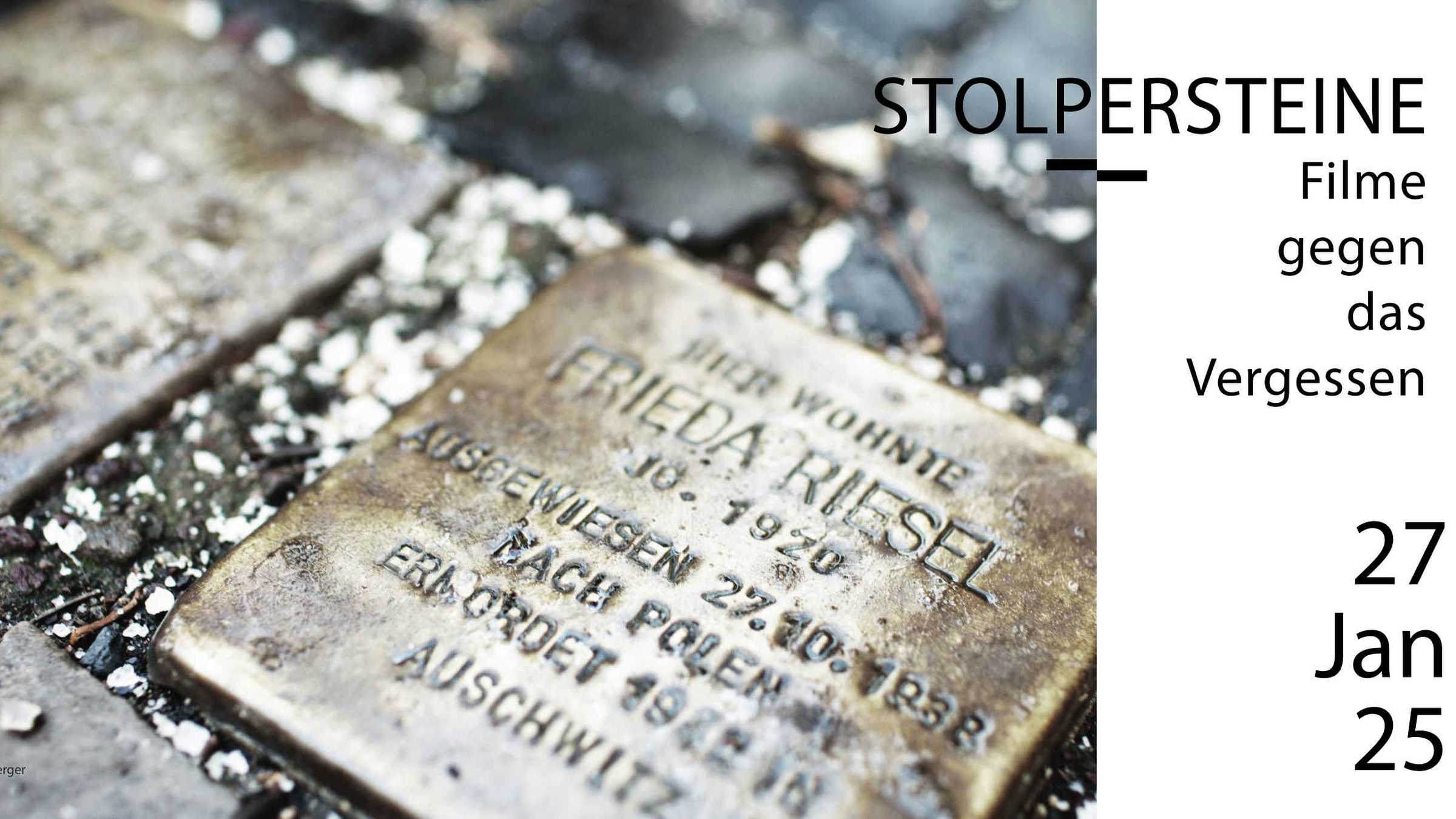 Nauaufnahme eines pflastergroßen Stolpersteins im Pflaster eines Weges. In einer Messingfläche sind Namen und Daten  einer in Auschwitz ermordeten Frau geprägt.