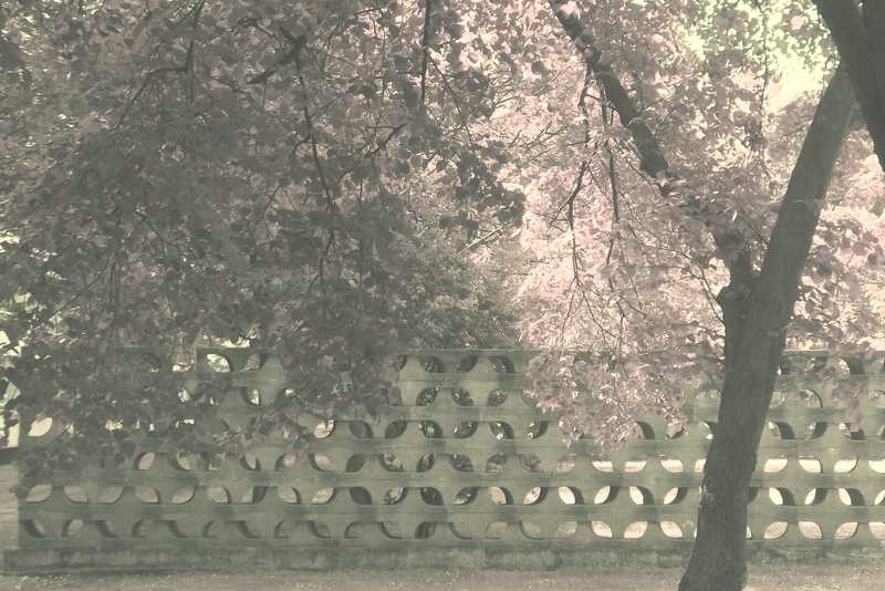 „Die Mauer vor dem längsten Gebäude Neustadts“