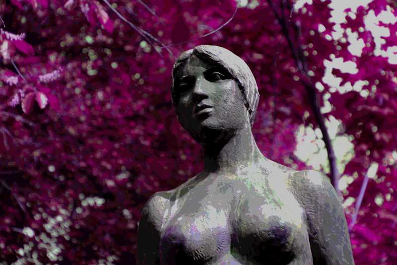 „Schöne Frau unter Wunderbaum“