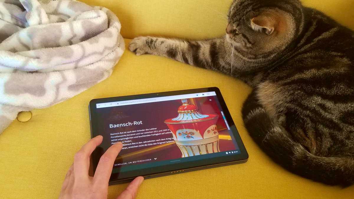 Tablet mit Ausstellungsseite auf Sofa mit Katze