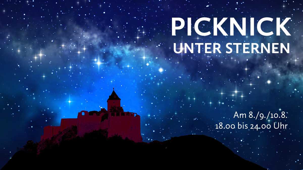 Burg Giebichenstein bei Nacht mit Sternenhimmel