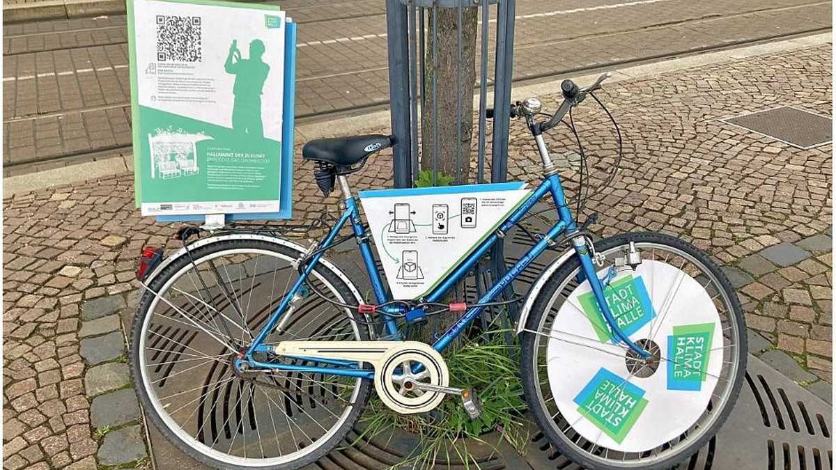 Fahrrad angelehnt an einen Baum