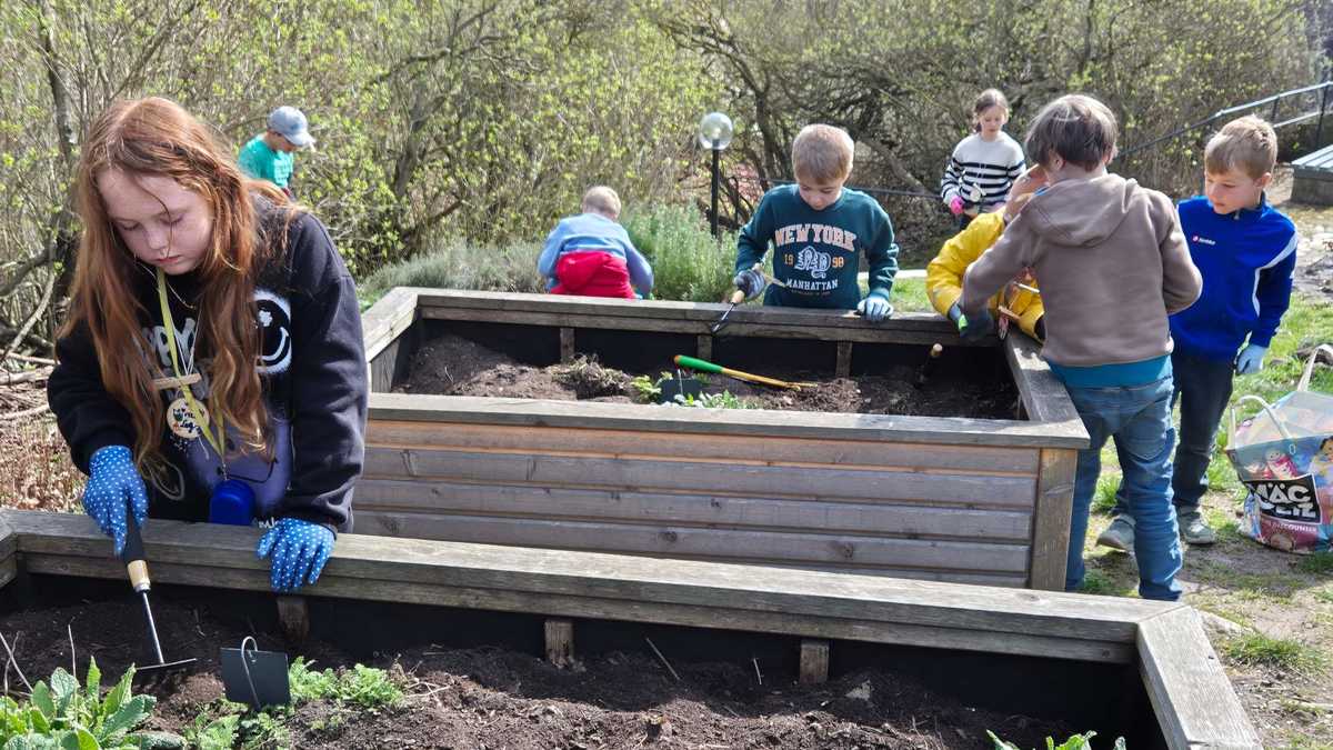 Kinder arbeiten am Beet auf der Oberburg Giebichenstein