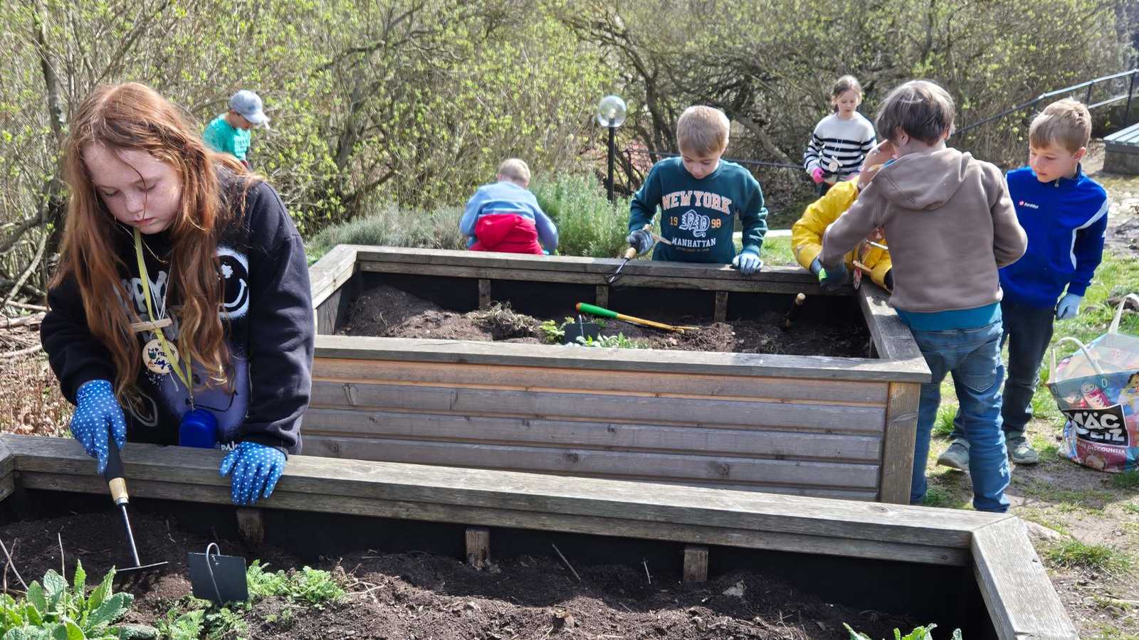 Garten Arbeit Kinder arbeiten am Beet auf der Oberburg Giebichenstein