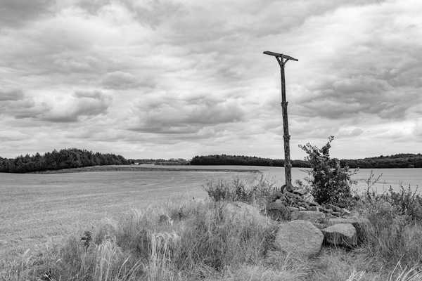 Blick über ein Getreidefeld, im Vordergrund Feldsteine und ein Greifvogelsitz