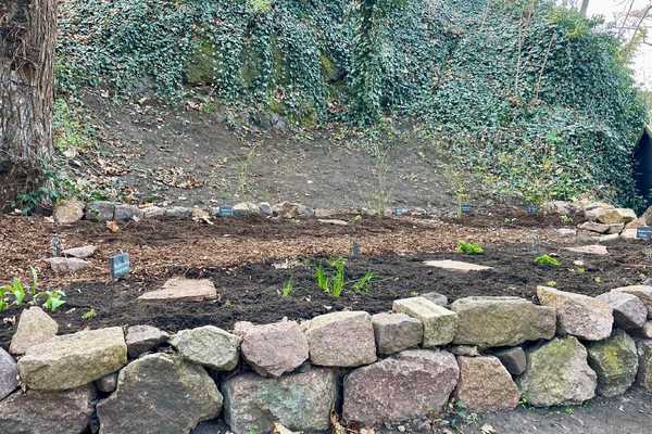 Beet auf der Oberburg Giebichenstein