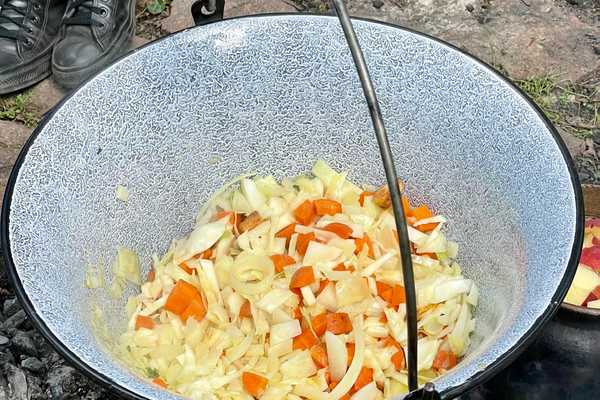 fertig gekochte Gemüsesuppe